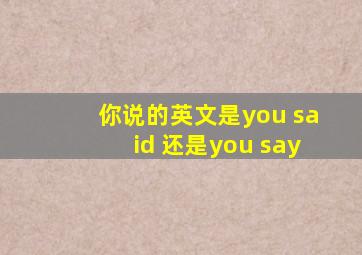 你说的英文是you said 还是you say